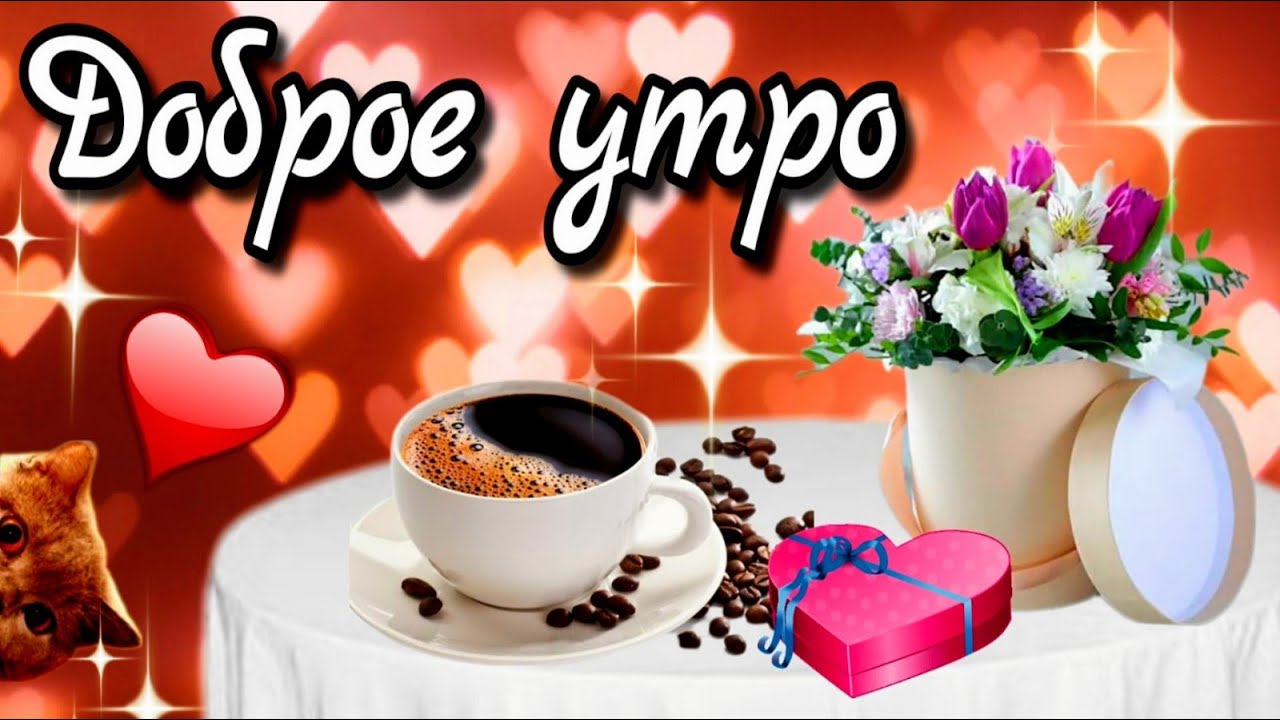 Настой из сосновых шишек - Картинки